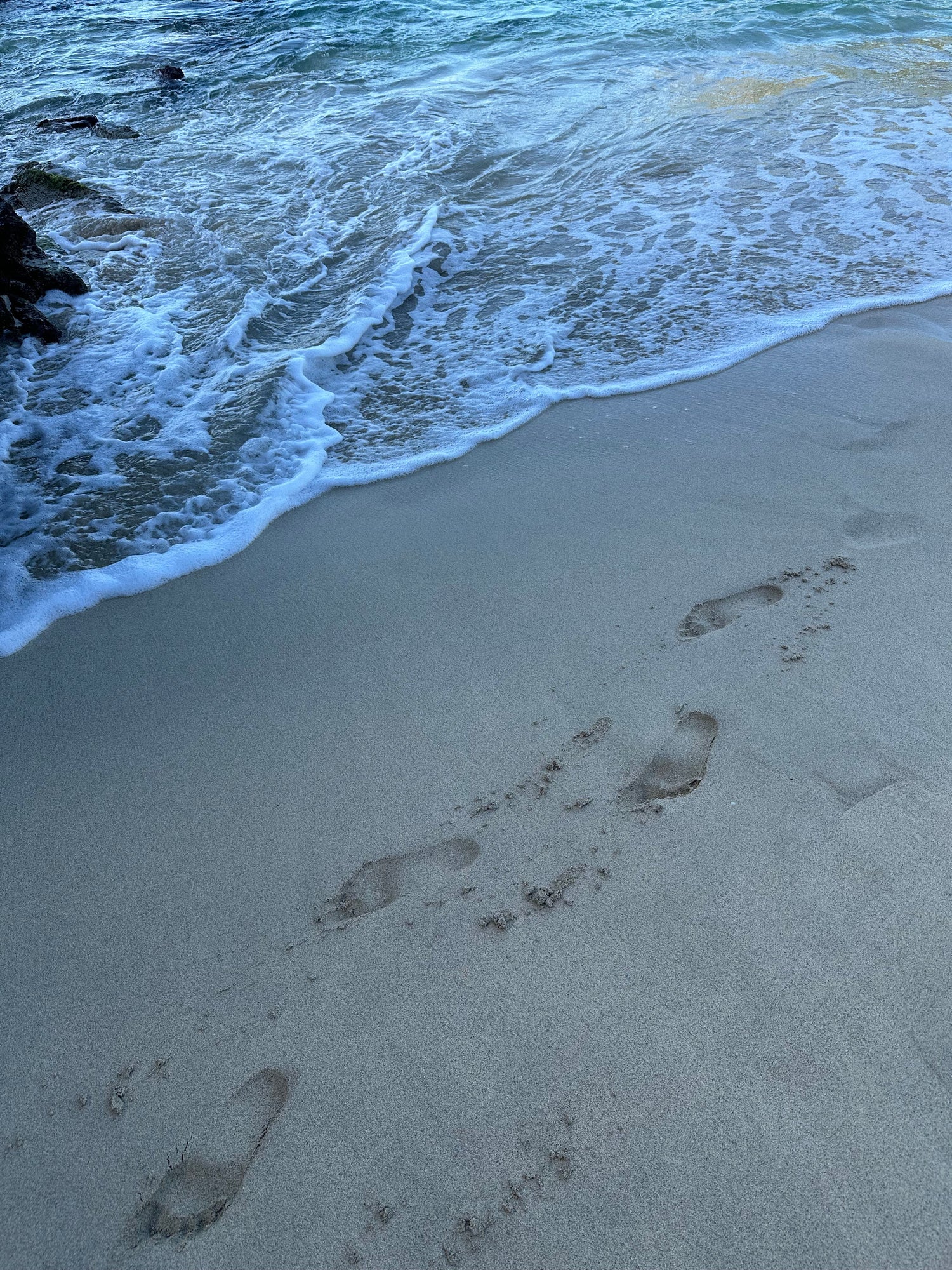 THE 2026 HOLIDAY EDIT